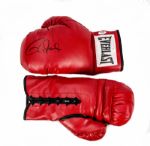 Lot of (10) Roy Jones Jr. Autographed Boxing Gloves