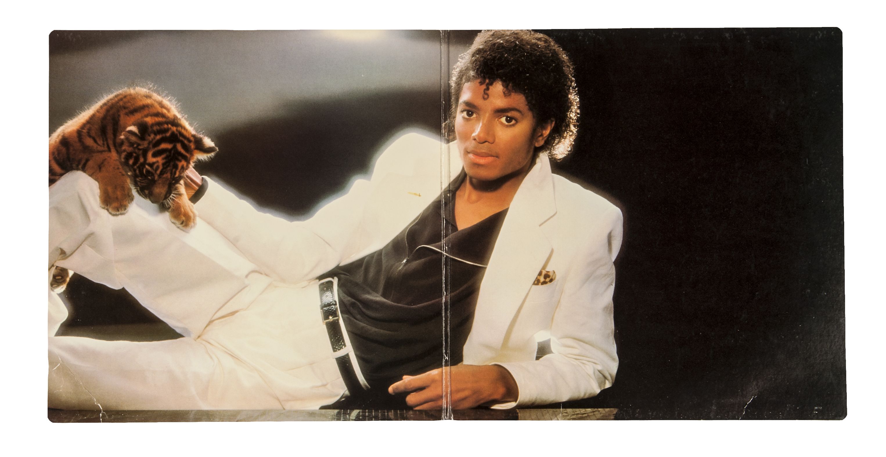 Michael jackson albums. Michael Jackson Thriller 1982. Michael Jackson Thriller 1982 обложка.