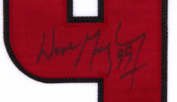 Lot Detail - Wayne Gretzky and Mario Lemieux Signed Jerseys Lot