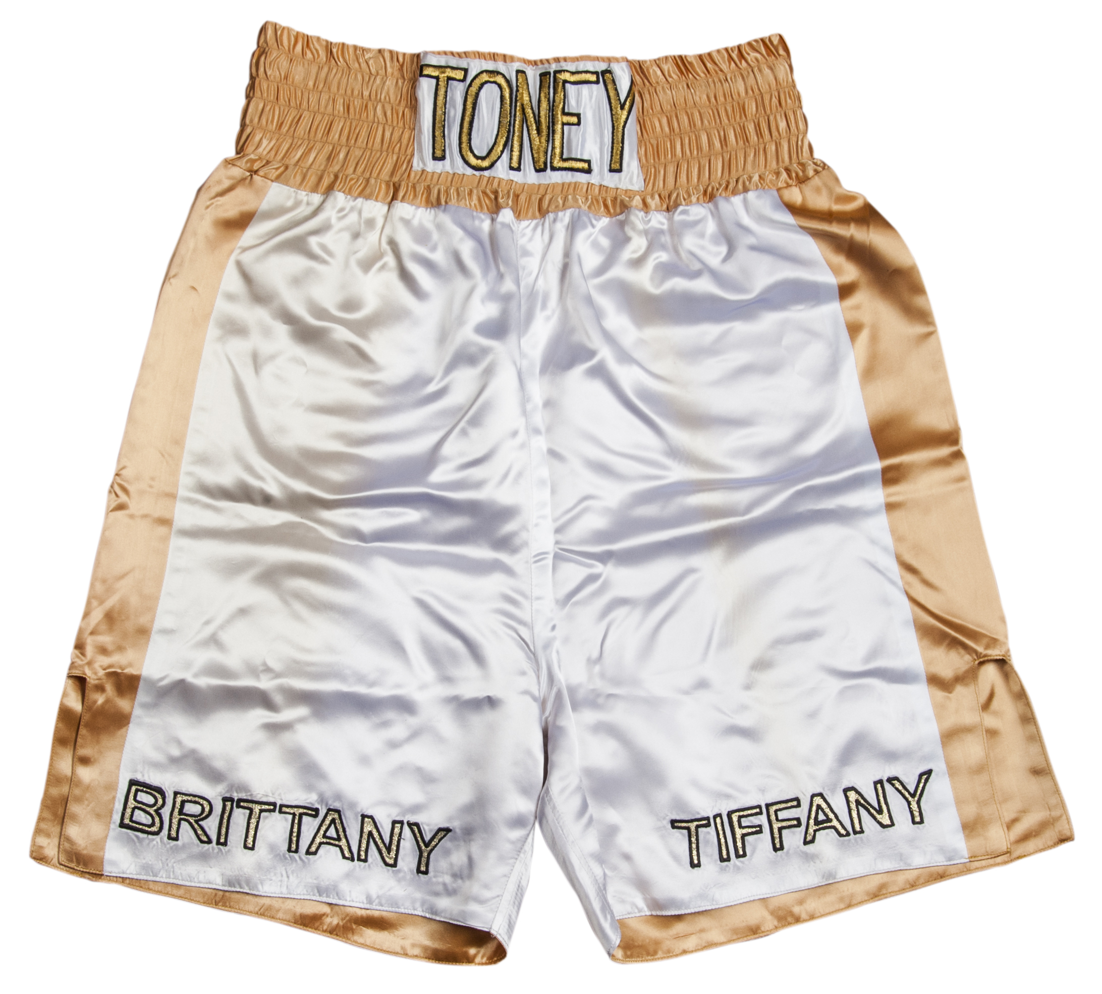 Lot Detail - James “Lights-Out” Toney Fight Worn and Signed Trunks vs ...