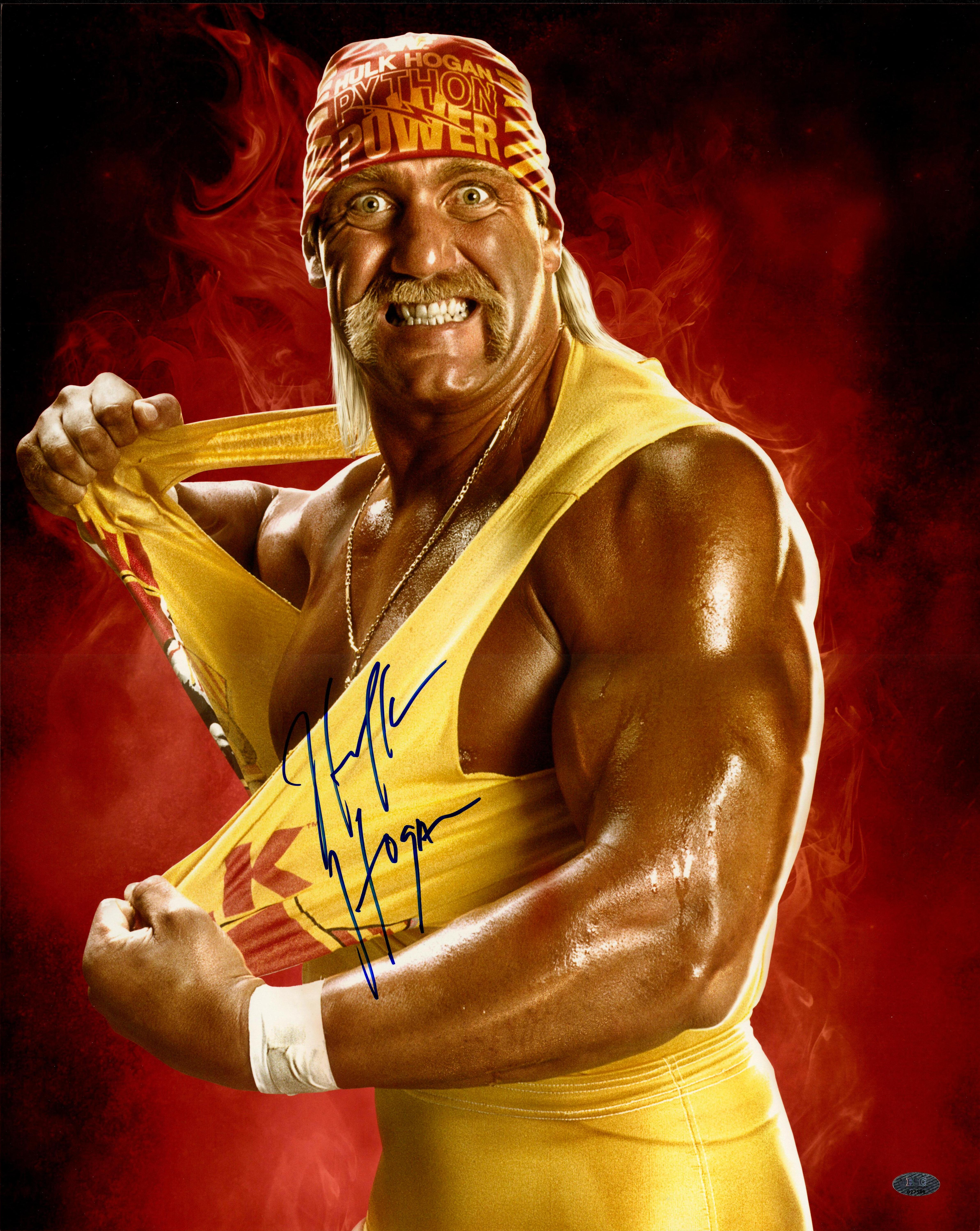 Lot Detail - Lot of (3) Hulk Hogan Signed 16x20 Photo - Various Poses (FSC)