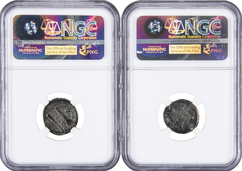 Lot Detail Alexander the Great Bronze AE Unit NGC-Graded Ancient Coins  Pair (2 Different)