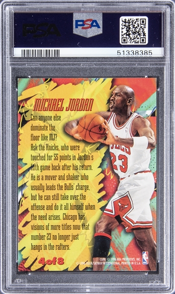 Lot Detail - Michael Jordan 1995-96 Chicago Bulls Professional